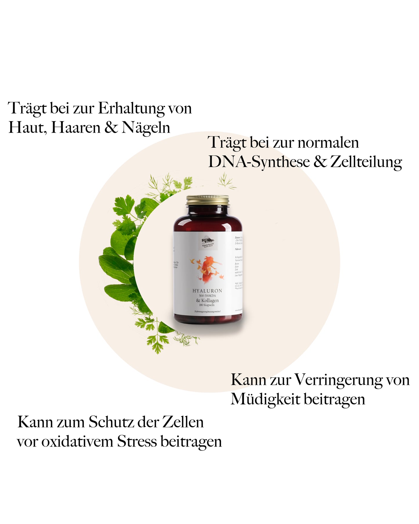 Kollagen & Hyaluron Kapseln