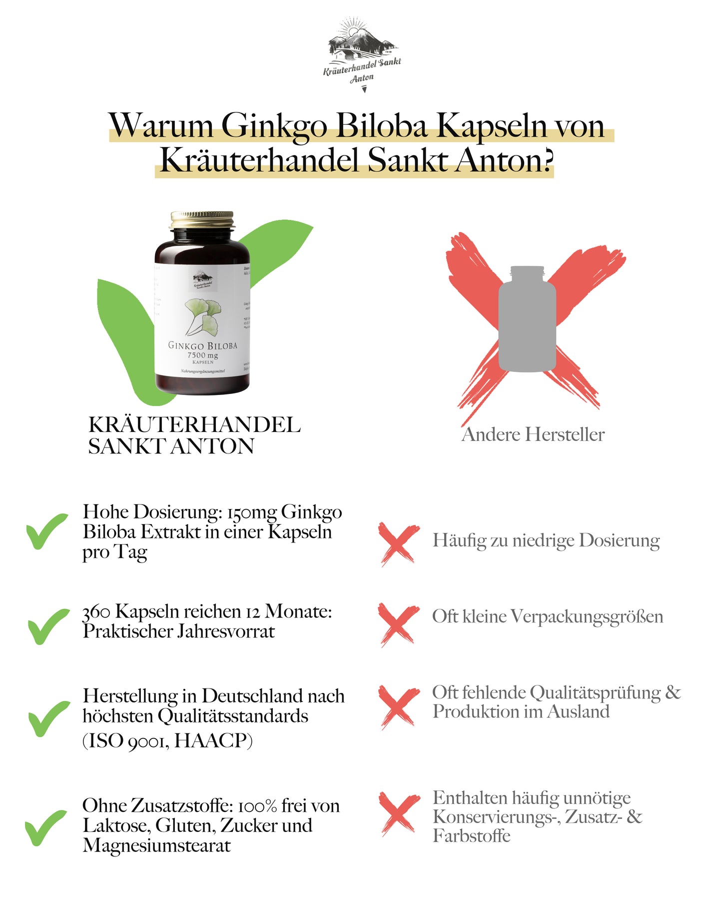 Ginkgo Kapseln