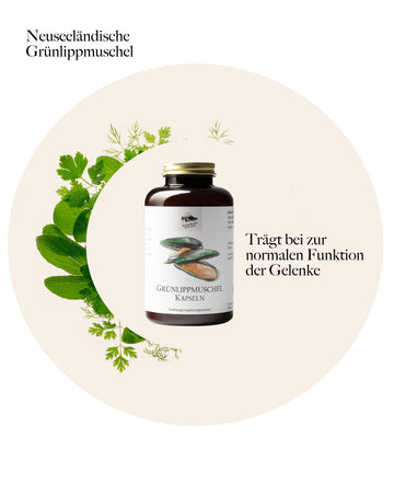 Grünlippmuschel Kapseln