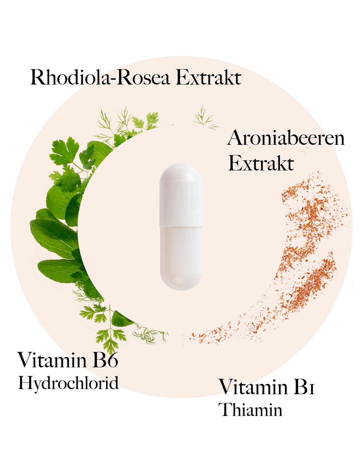 Rhodiola Rosenwurz Kapseln