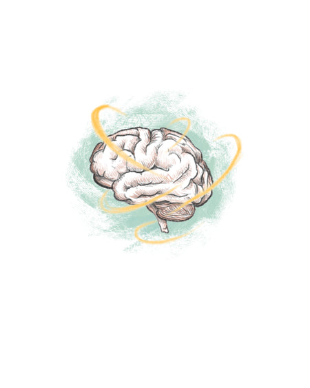 Gehirn, Konzentration & Nervensystem