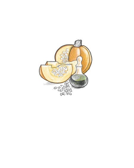 Stoffwechsel & Verdauung