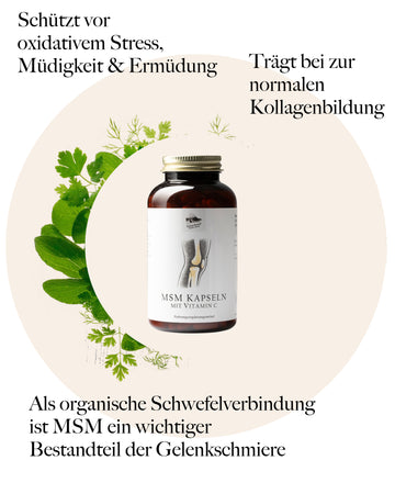 MSM Kapseln