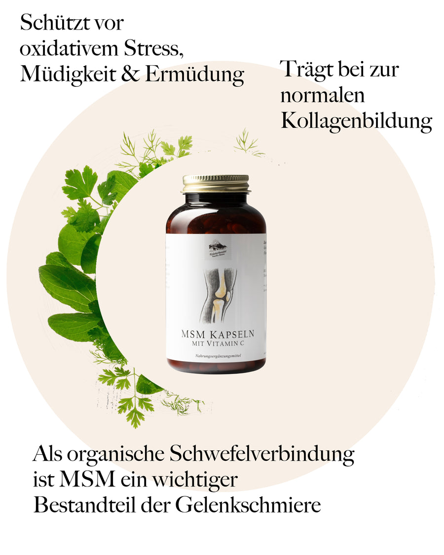 MSM Kapseln