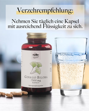 Ginkgo Kapseln