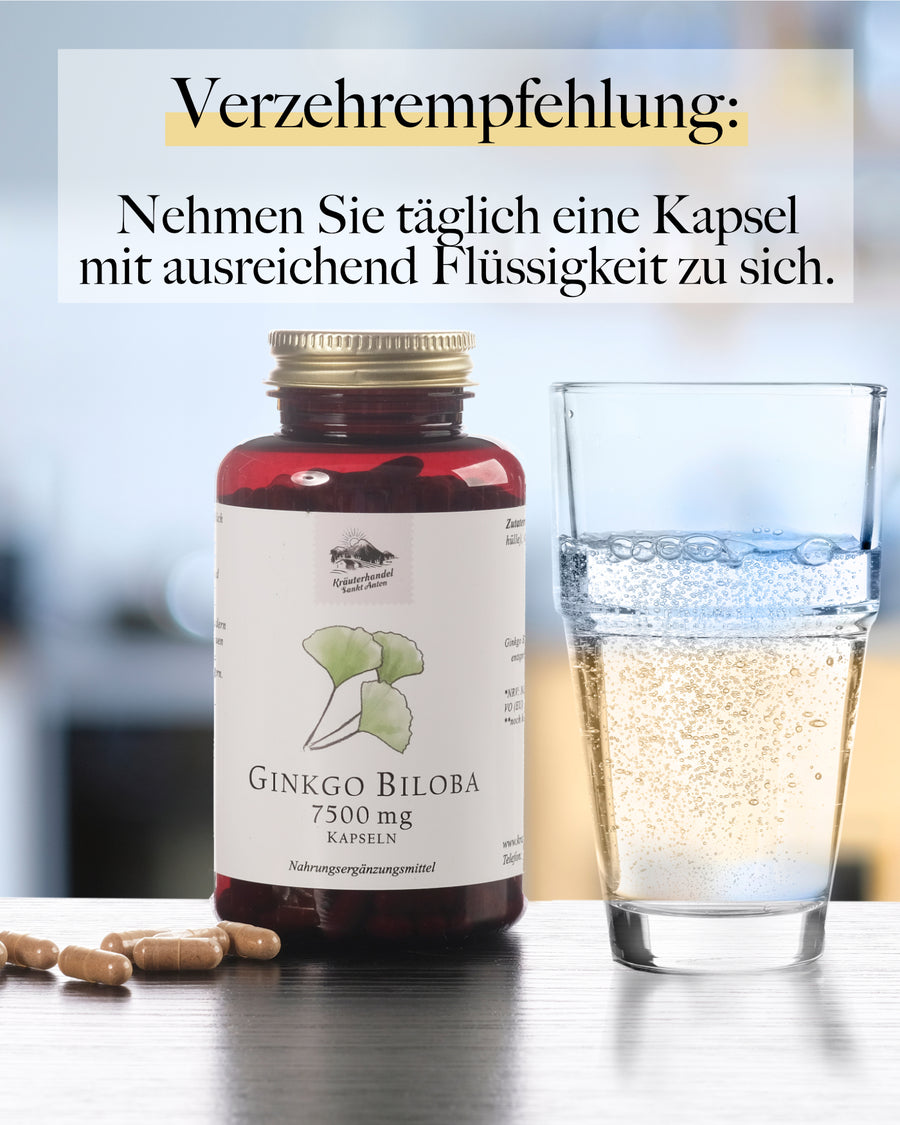 Ginkgo Kapseln