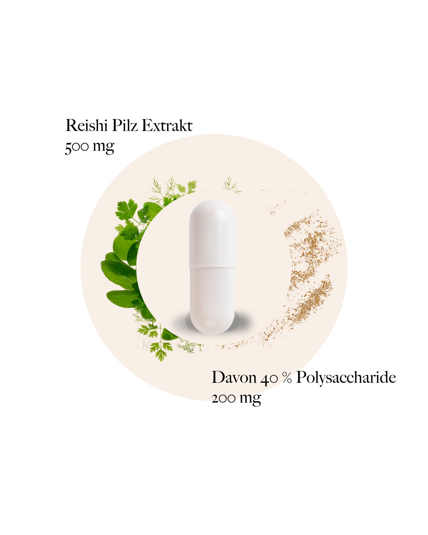 Reishi Kapseln