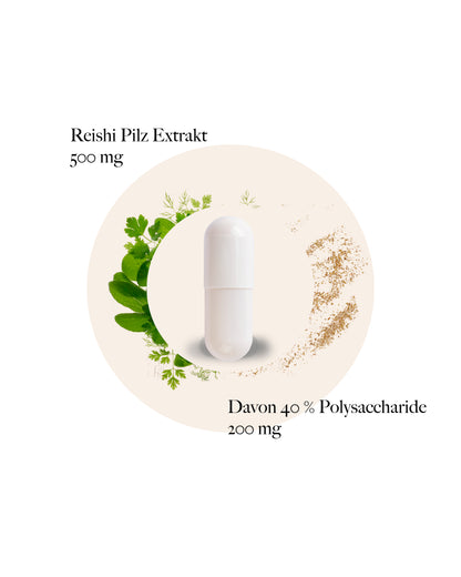 Reishi Kapseln
