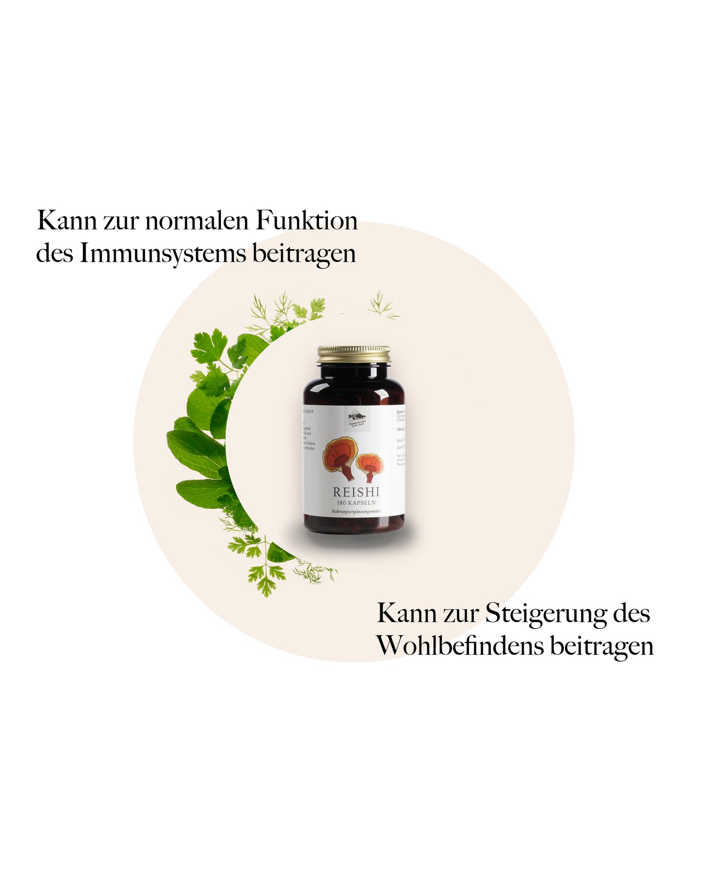 Reishi Kapseln