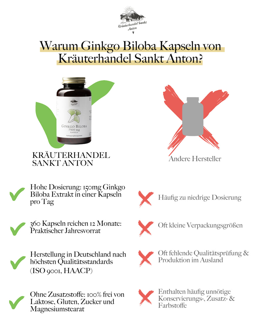 Ginkgo Kapseln