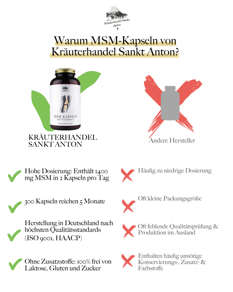MSM Kapseln