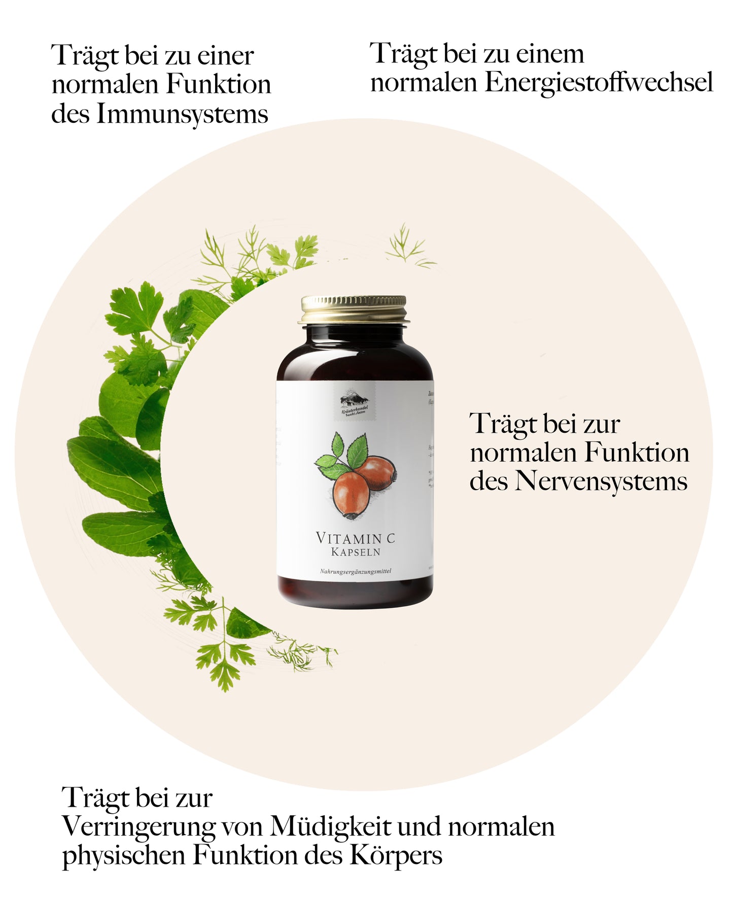 Vitamin C mit Hagebutte Kapseln