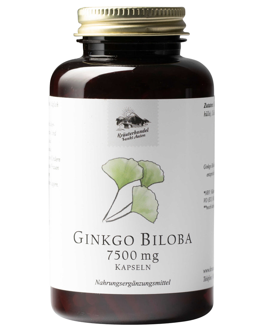 Ginkgo Kapseln