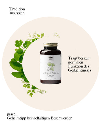 Ginkgo Kapseln