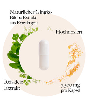 Ginkgo Kapseln