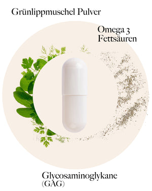 Grünlippmuschel Kapseln