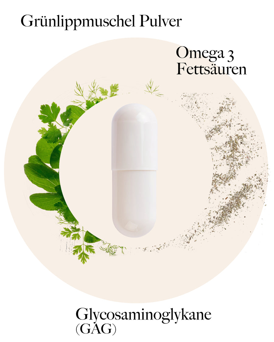 Grünlippmuschel Kapseln