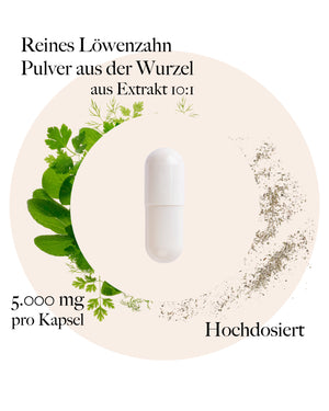 Löwenzahnwurzel Kapseln