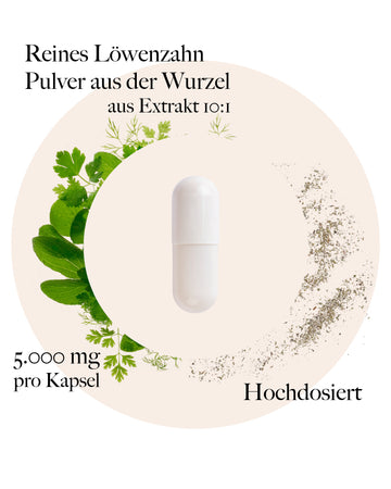 Löwenzahnwurzel Kapseln