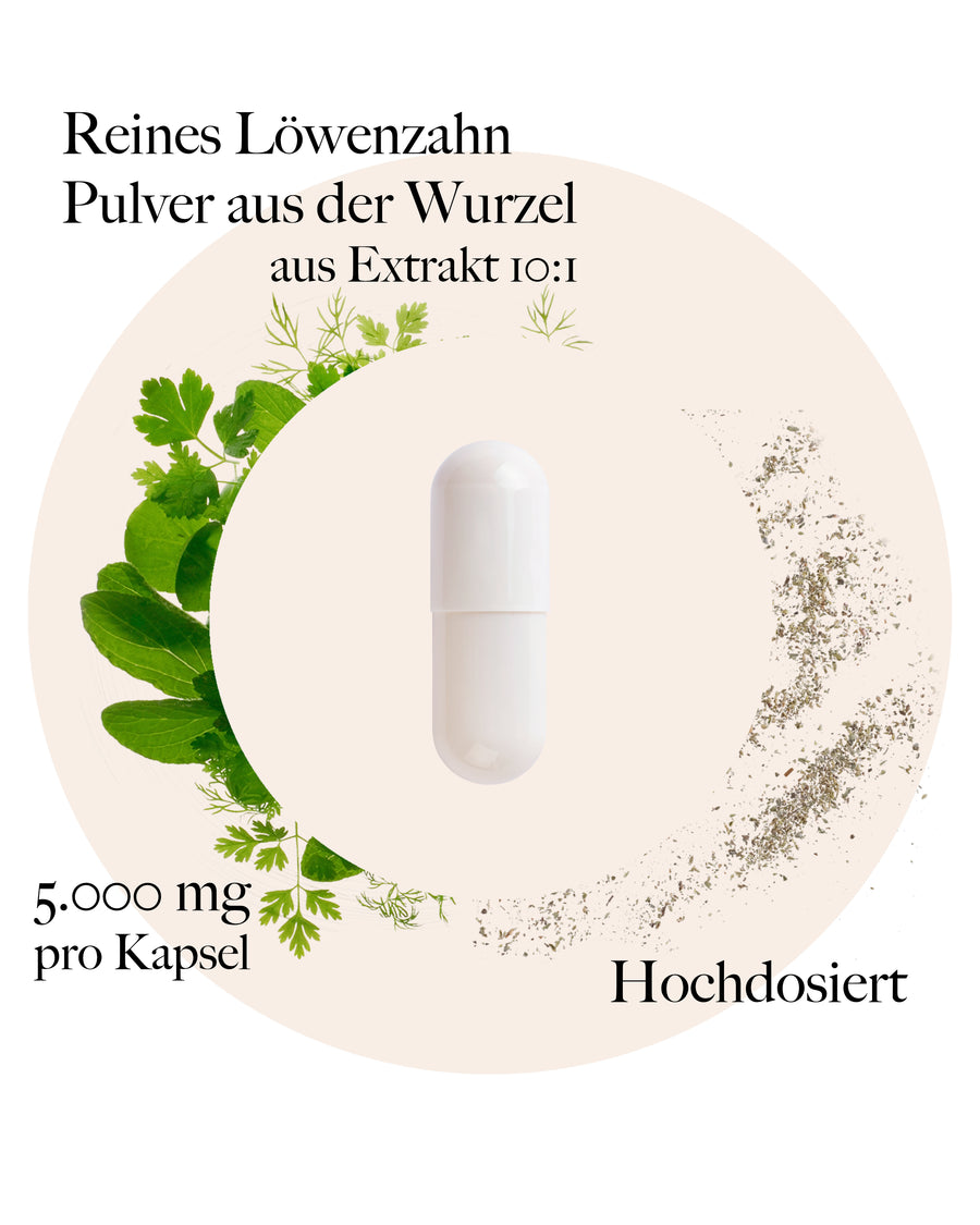 Löwenzahnwurzel Kapseln