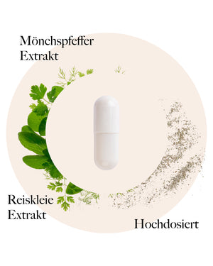 Mönchspfeffer Kapseln