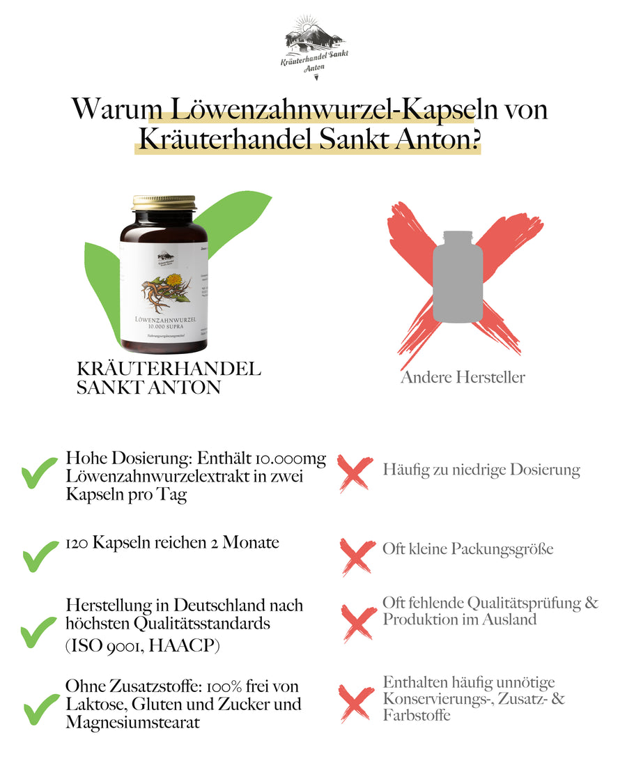 Löwenzahnwurzel Kapseln